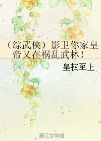《(综武侠同人)影卫你家皇帝又在祸乱武林!》
