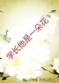 学长他是一朵花