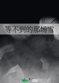 等不到的那場雪