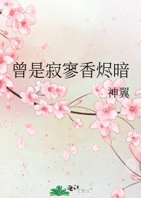 曾是寂寥香烬暗