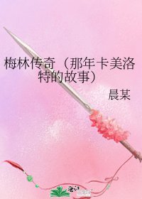 《梅林传奇(那年卡美洛特的故事)》