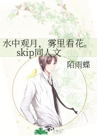 水中观月，雾里看花。skip同人文