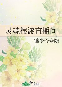 灵魂摆渡直播间