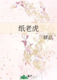 《纸老虎》