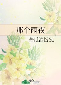 《那個雨夜》
