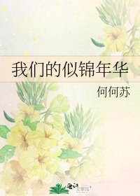 我们的似锦年华
