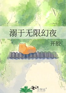 《溺于无限幻夜》