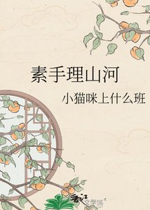 《素手理山河》