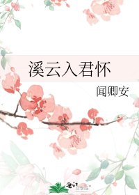溪云入君怀